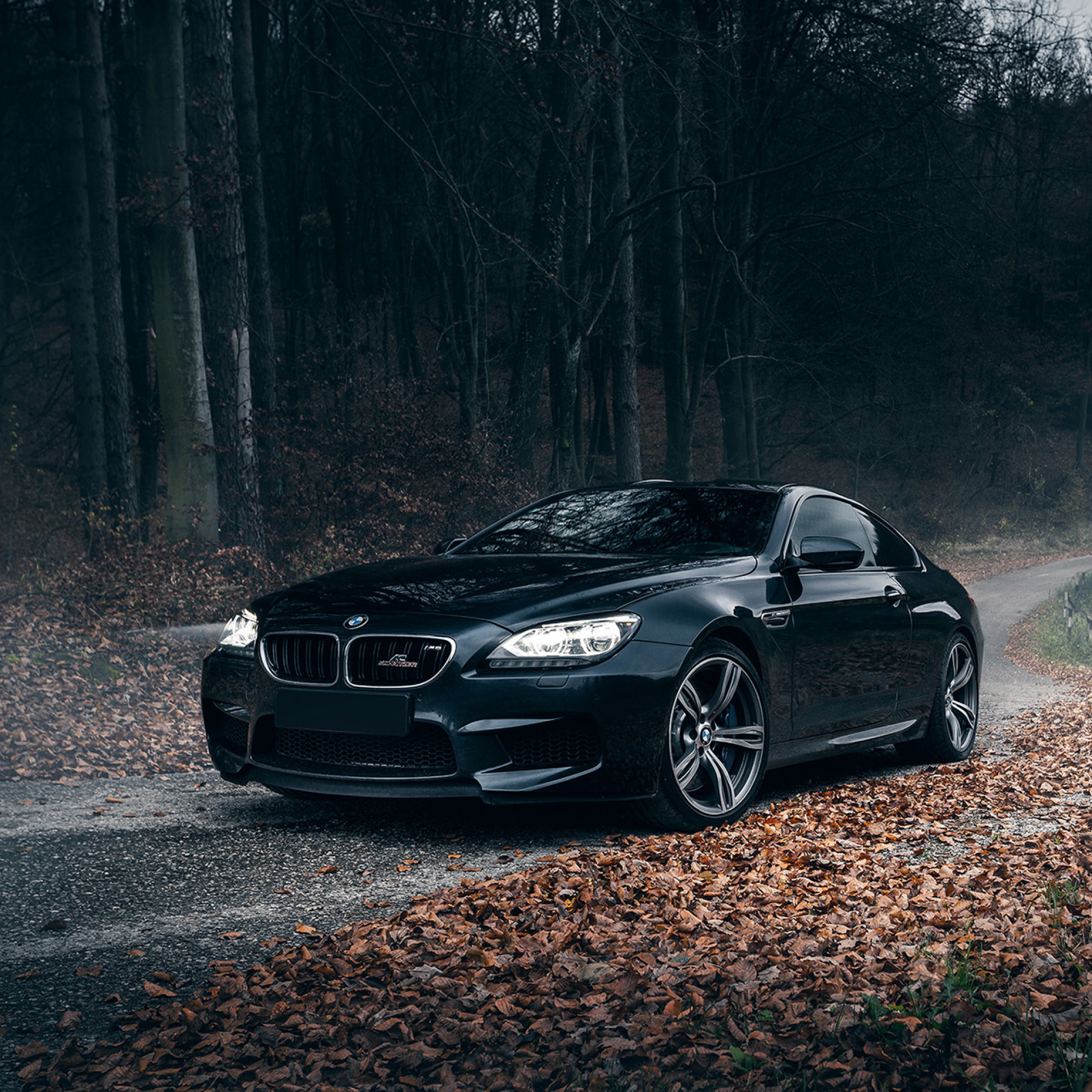 Das BMW M6 Coupe Wallpaper 2048x2048