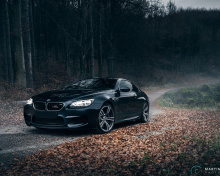 Das BMW M6 Coupe Wallpaper 220x176