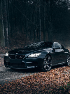 BMW M6 Coupe screenshot #1 240x320