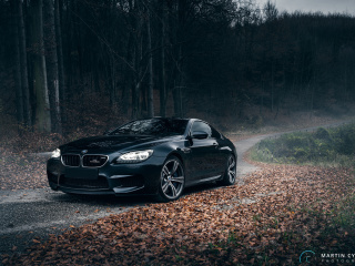Das BMW M6 Coupe Wallpaper 320x240