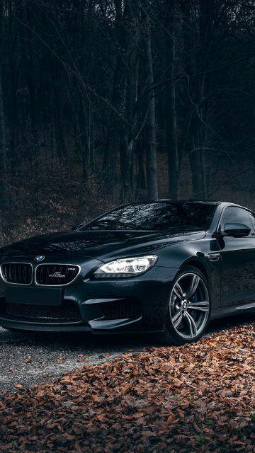 BMW M6 Coupe screenshot #1 360x640