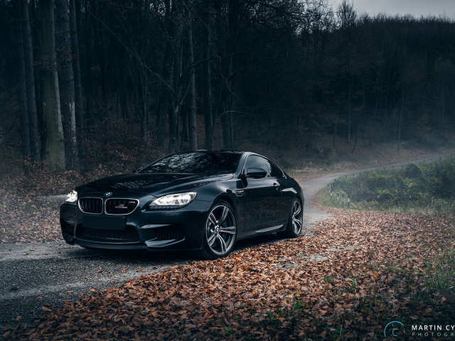 Das BMW M6 Coupe Wallpaper 640x480