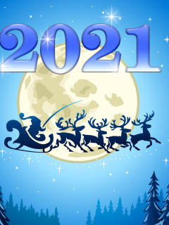 Screenshot №1 pro téma 2021 New Year Night 240x320