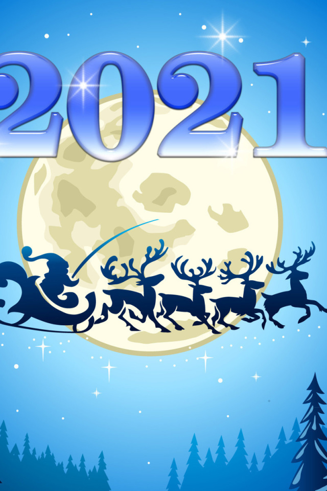 2021 New Year Night wallpaper 640x960