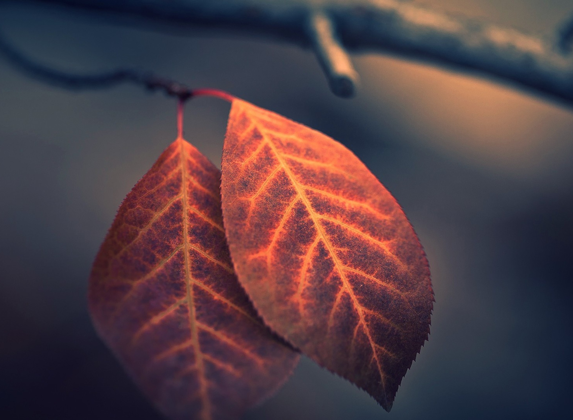 Two Ember Leaves screenshot #1 1920x1408