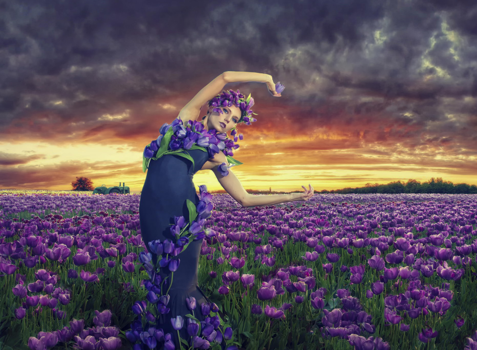 Fondo de pantalla Purple Tulip Princess 1920x1408