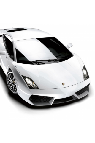 Screenshot №1 pro téma Lamborghini Gallardo LP 560 320x480