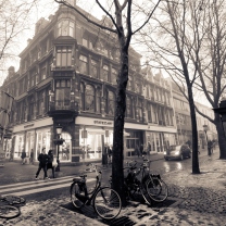 Screenshot №1 pro téma Mariaplaats - Misty Utrecht In Winter 208x208