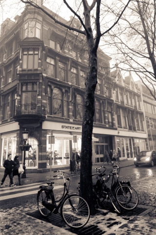 Screenshot №1 pro téma Mariaplaats - Misty Utrecht In Winter 320x480