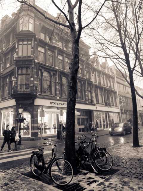 Screenshot №1 pro téma Mariaplaats - Misty Utrecht In Winter 480x640