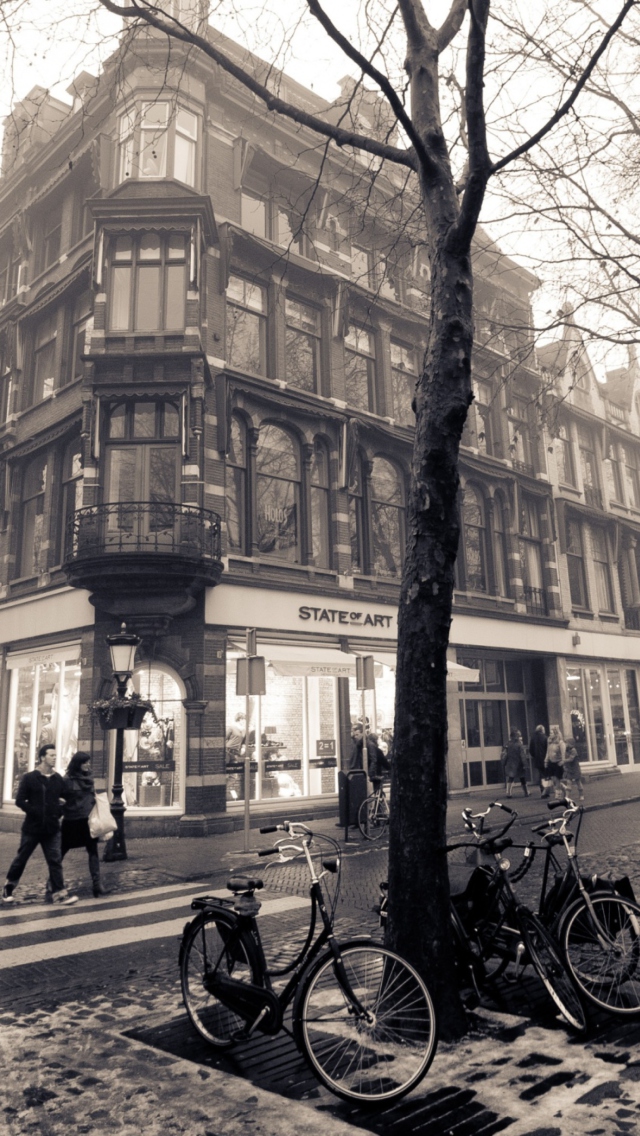 Обои Mariaplaats - Misty Utrecht In Winter 640x1136