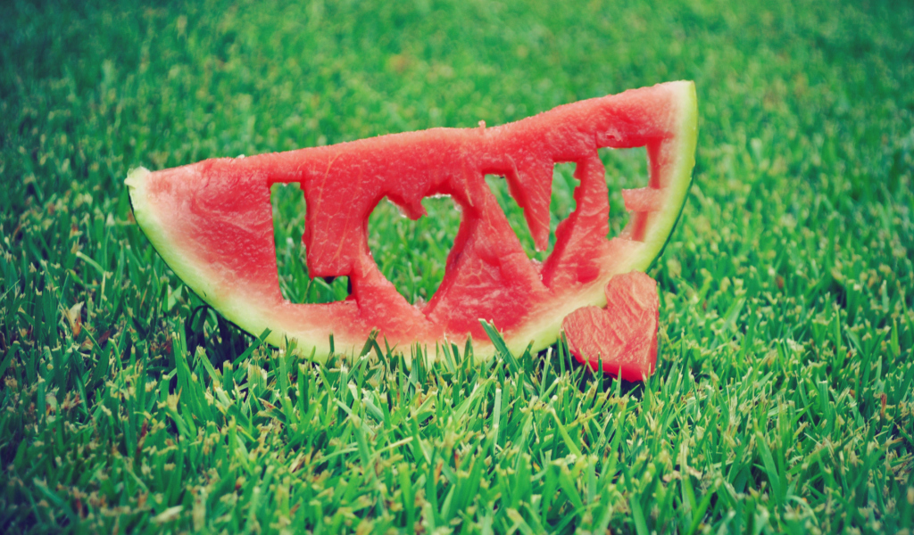 Обои Watermelon Love 1024x600