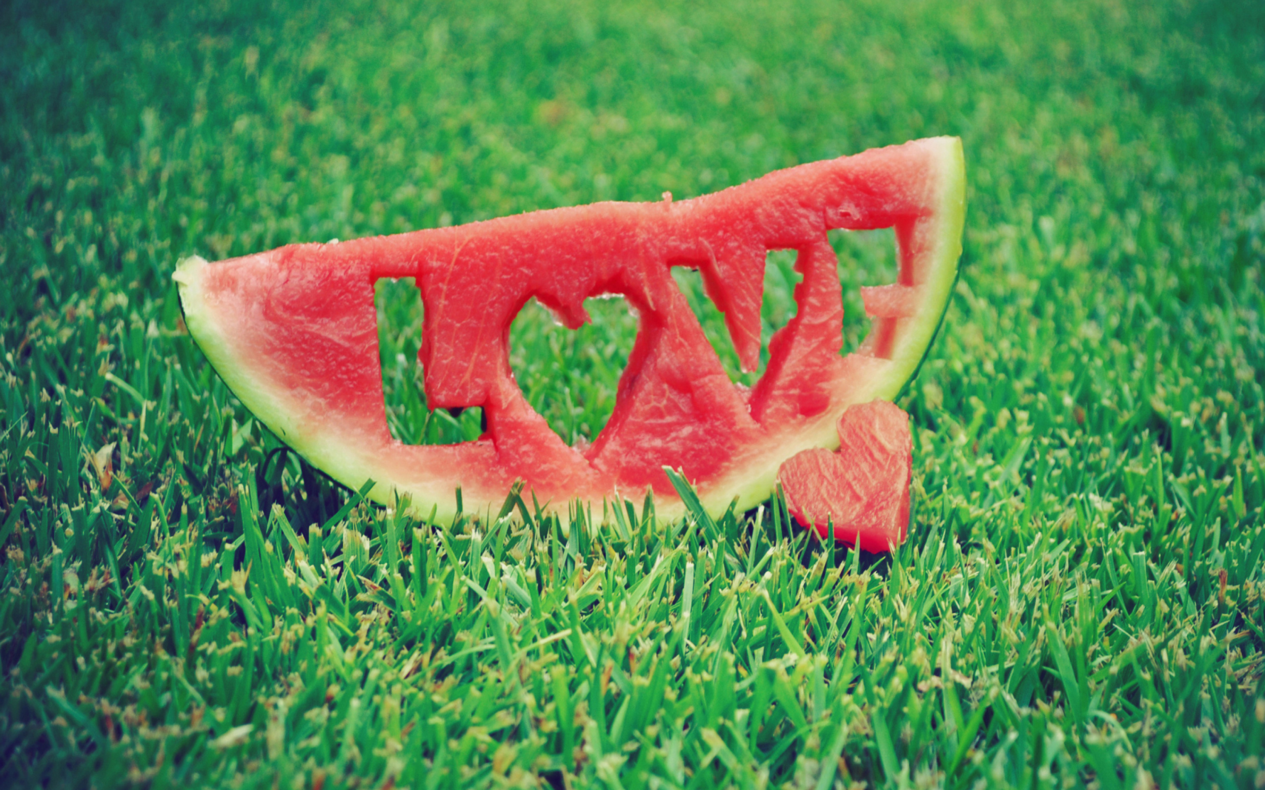 Watermelon Love wallpaper 2560x1600