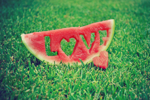 Watermelon Love wallpaper 480x320