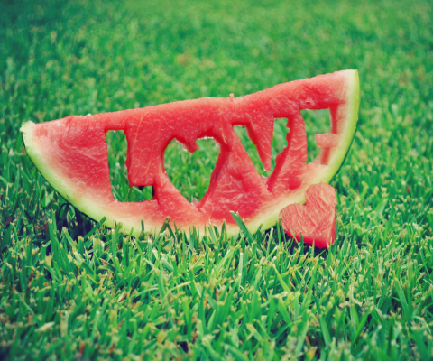Das Watermelon Love Wallpaper 480x400