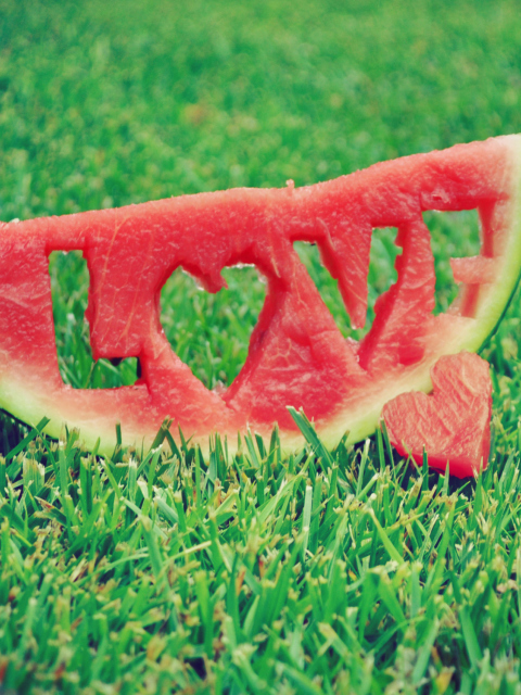 Обои Watermelon Love 480x640