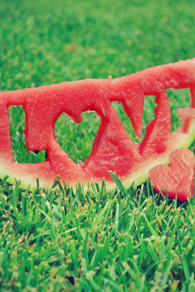 Das Watermelon Love Wallpaper 640x960