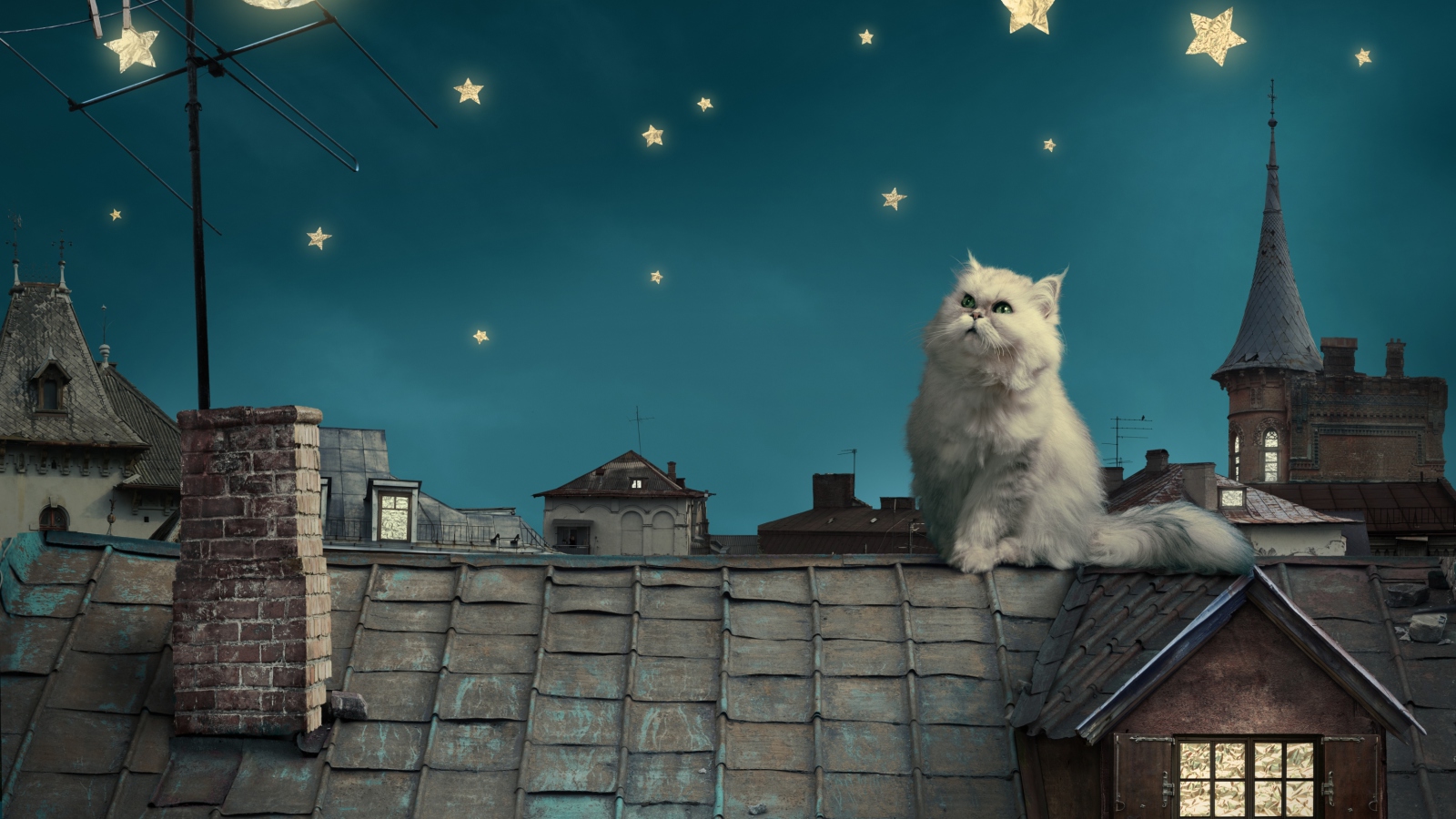 Cat World screenshot #1 1600x900