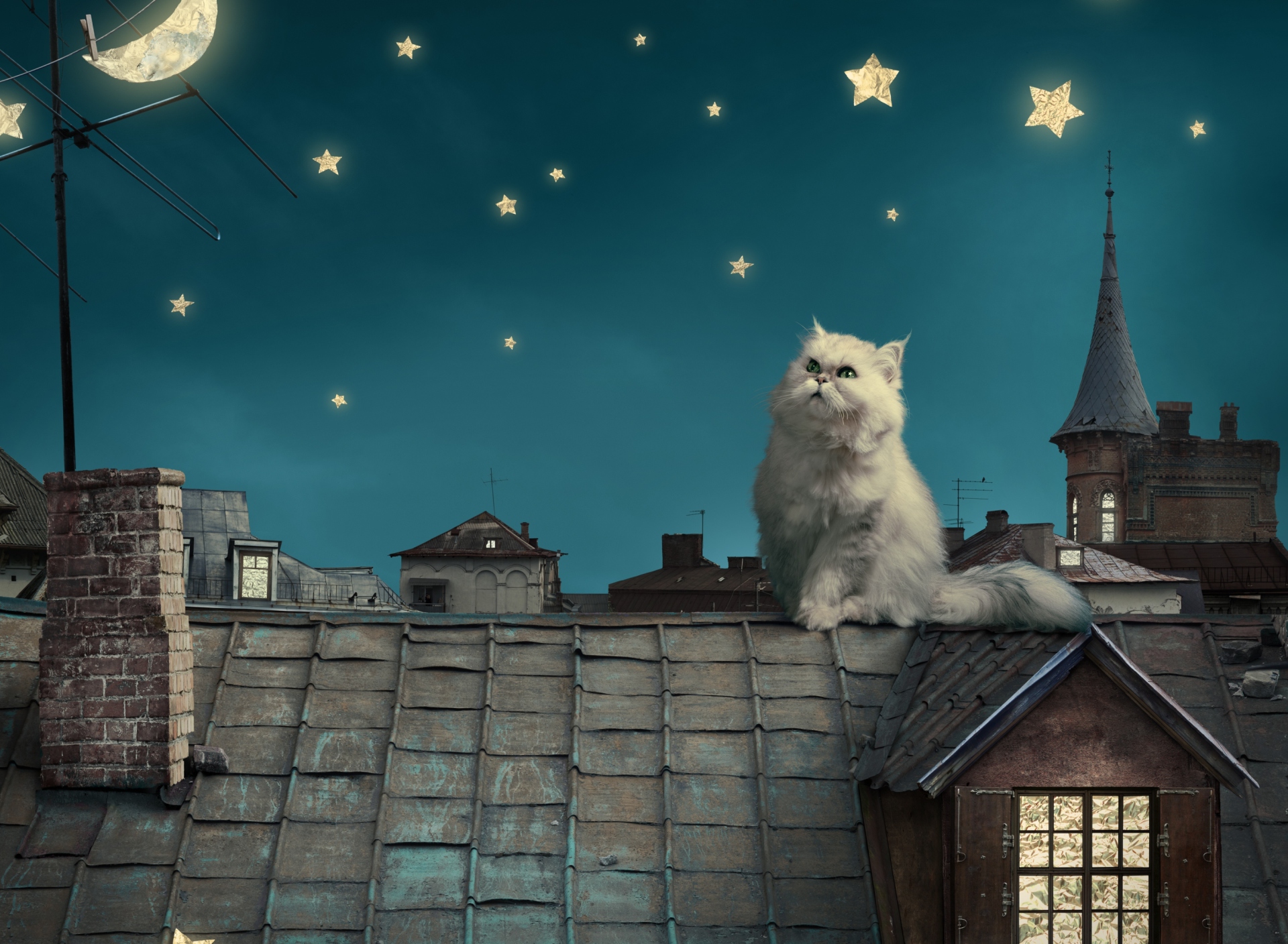 Cat World screenshot #1 1920x1408