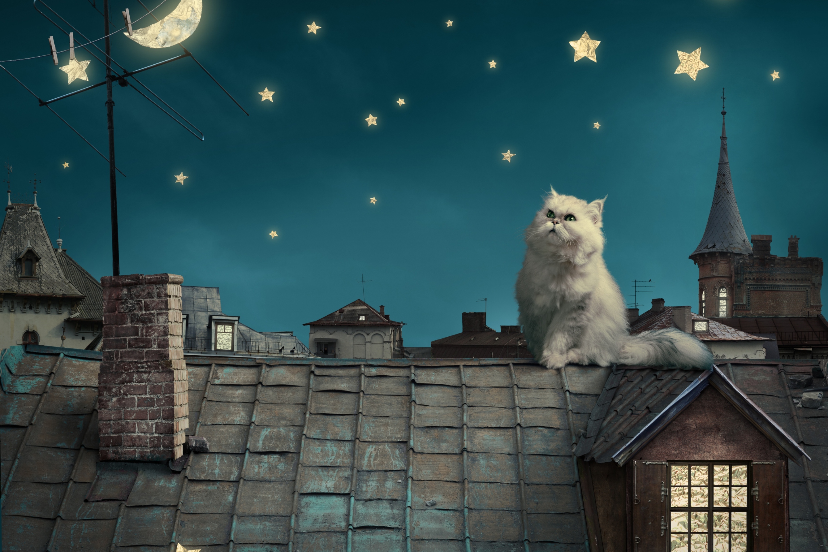 Cat World screenshot #1 2880x1920