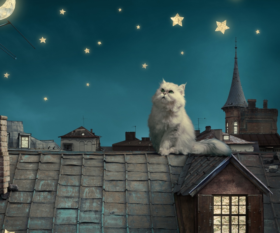 Cat World screenshot #1 960x800