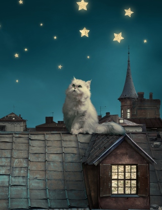 Cat World - Obrázkek zdarma pro Nokia Asha 503