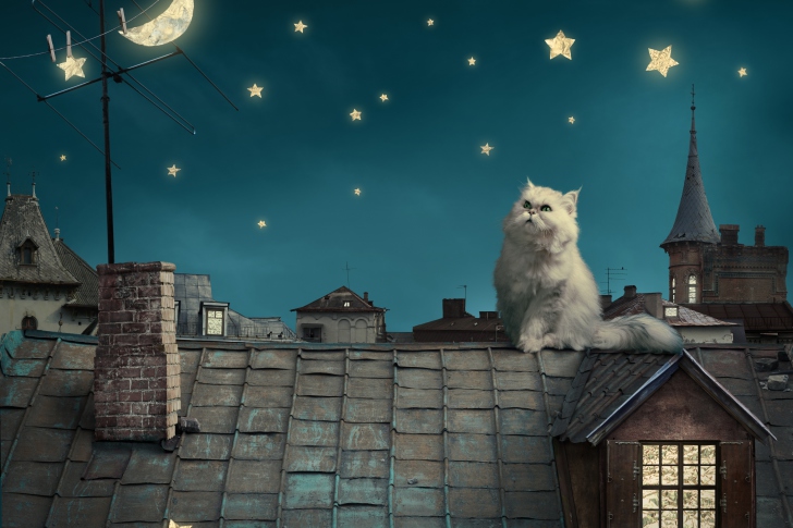 Cat World screenshot #1