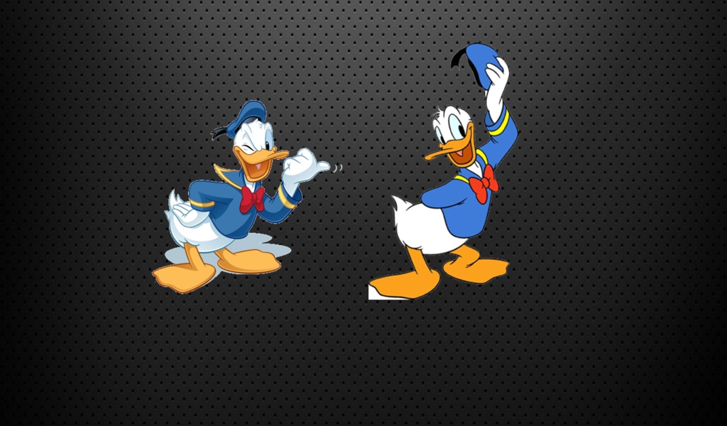 Fondo de pantalla Donald Duck 1024x600