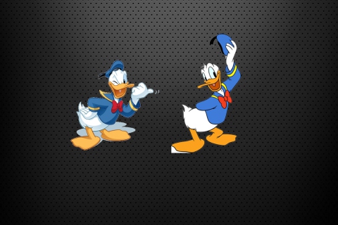 Обои Donald Duck 480x320