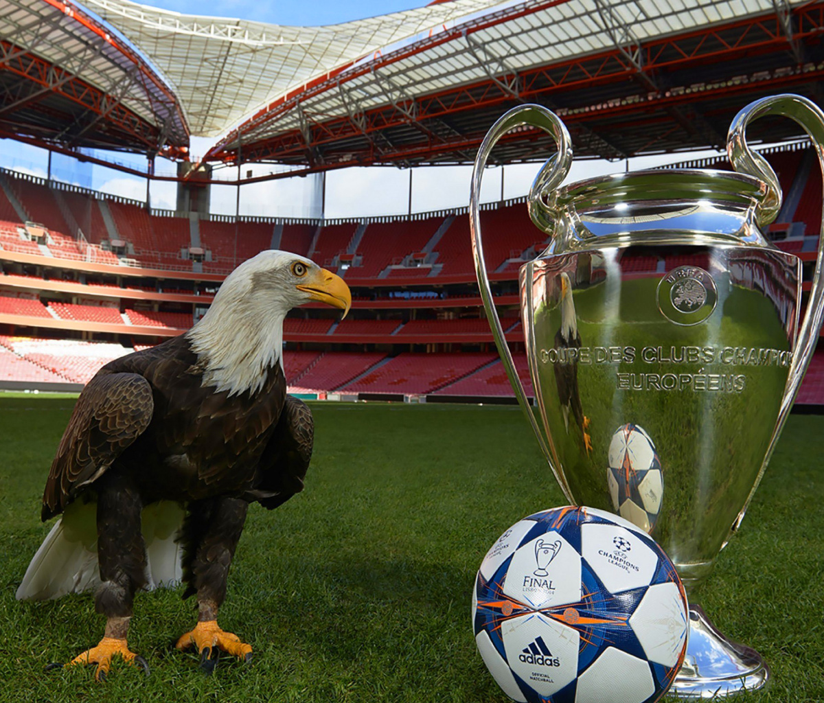 Screenshot №1 pro téma Estadio da Luz with UEFA Euro Cup 1200x1024