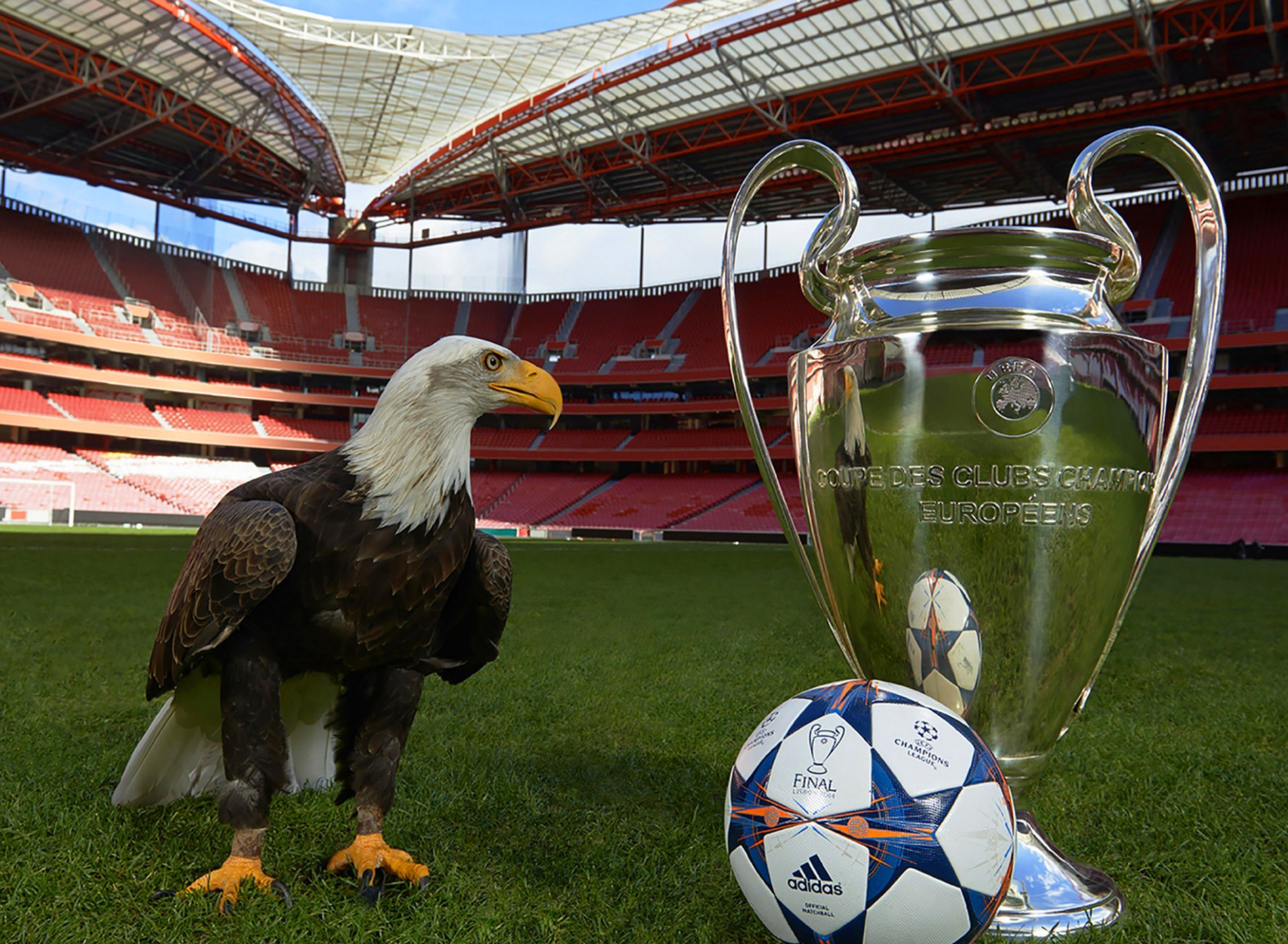 Das Estadio da Luz with UEFA Euro Cup Wallpaper 1920x1408