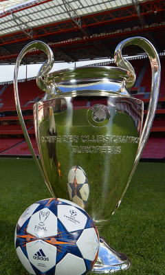 Fondo de pantalla Estadio da Luz with UEFA Euro Cup 240x400