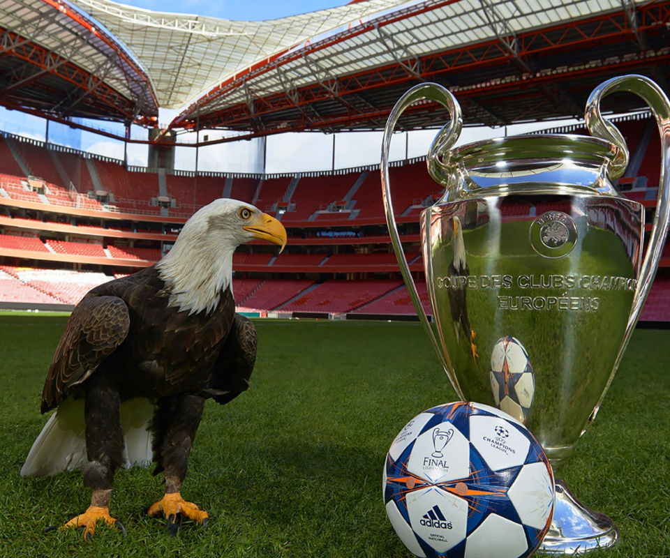 Screenshot №1 pro téma Estadio da Luz with UEFA Euro Cup 960x800