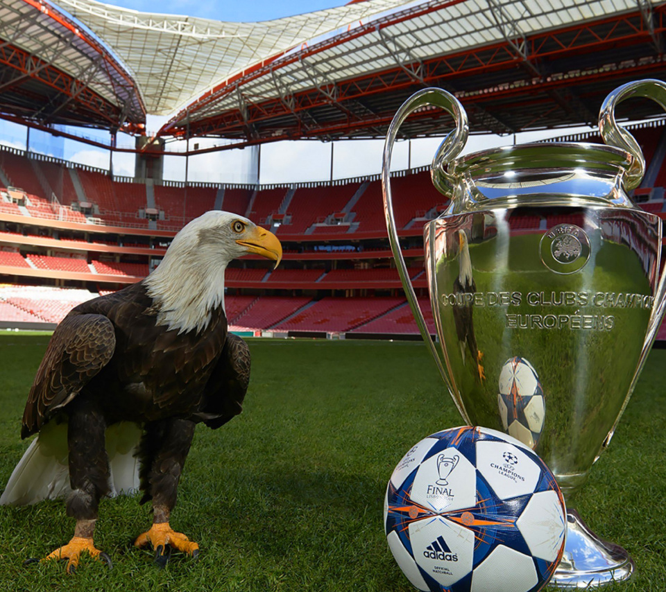 Screenshot №1 pro téma Estadio da Luz with UEFA Euro Cup 960x854