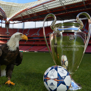Estadio da Luz with UEFA Euro Cup sfondi gratuiti per iPad 3