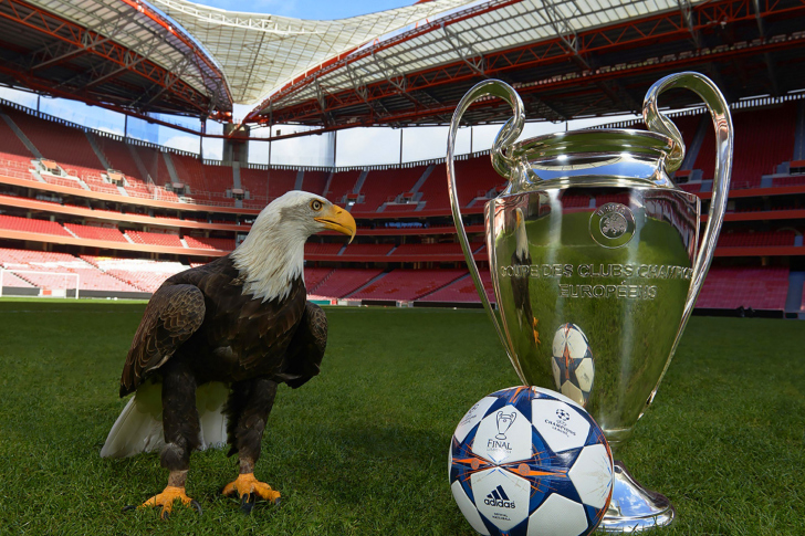 Обои Estadio da Luz with UEFA Euro Cup