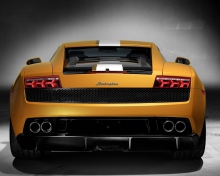 Lamborghini wallpaper 220x176
