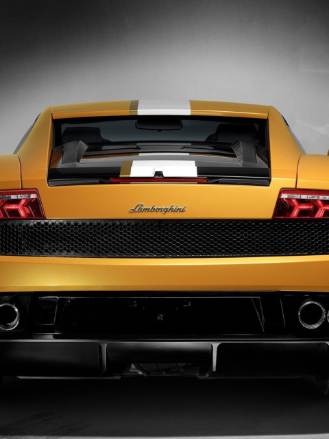 Обои Lamborghini 480x640