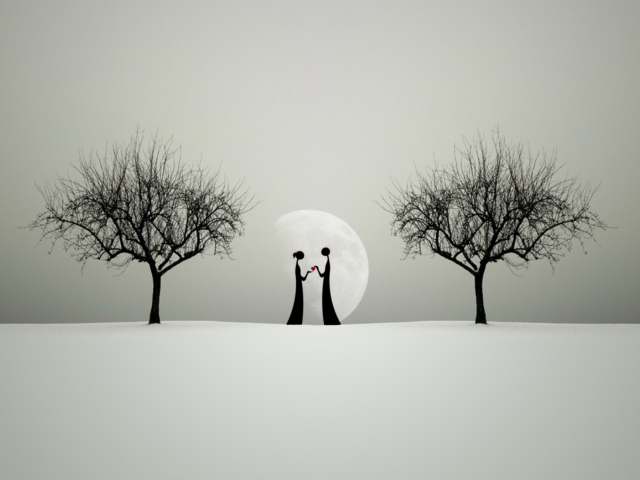 Say I Love You In The Moonlight wallpaper 640x480