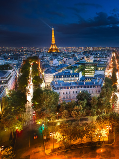 City Lights Of Paris wallpaper 240x320