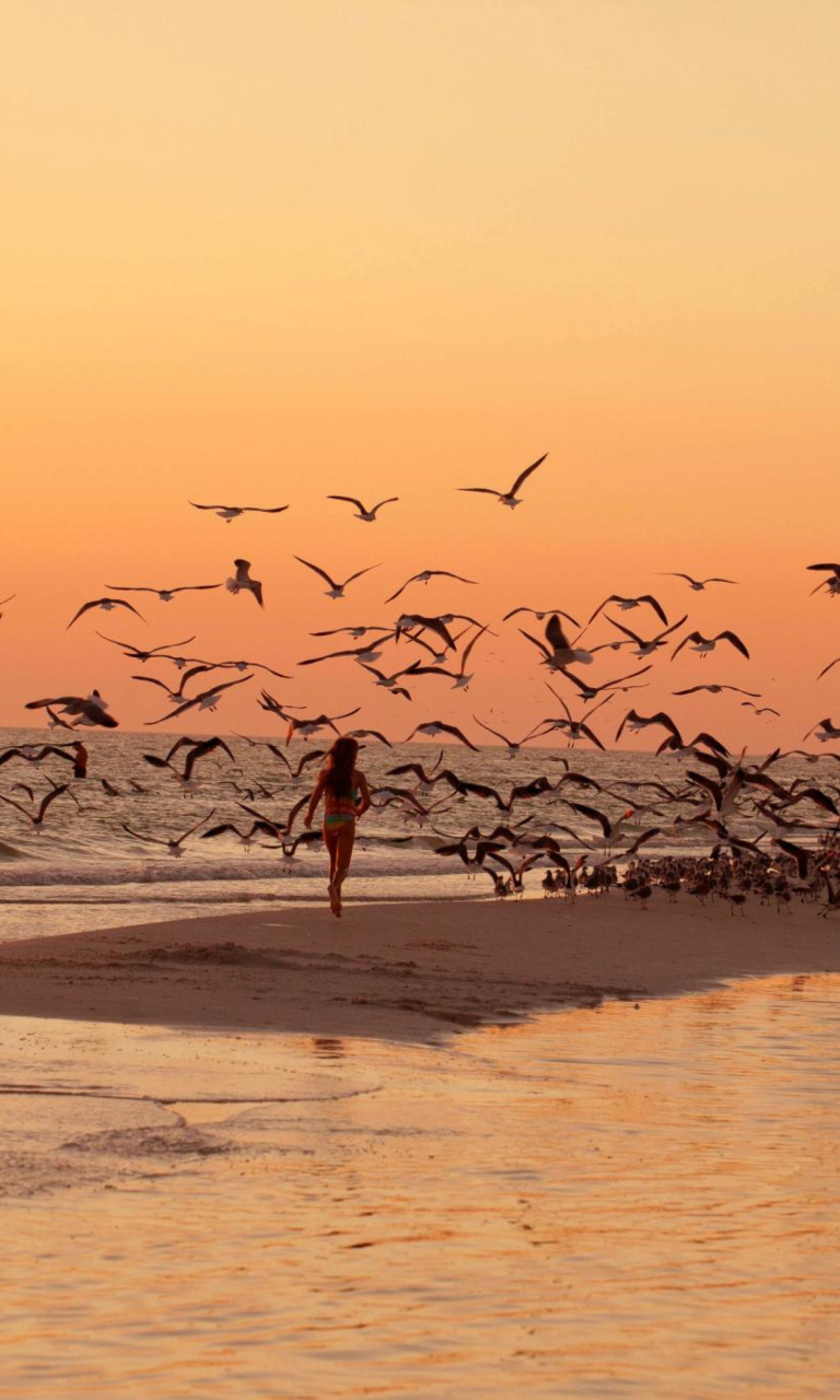 Sfondi Walk With Seagulls 768x1280