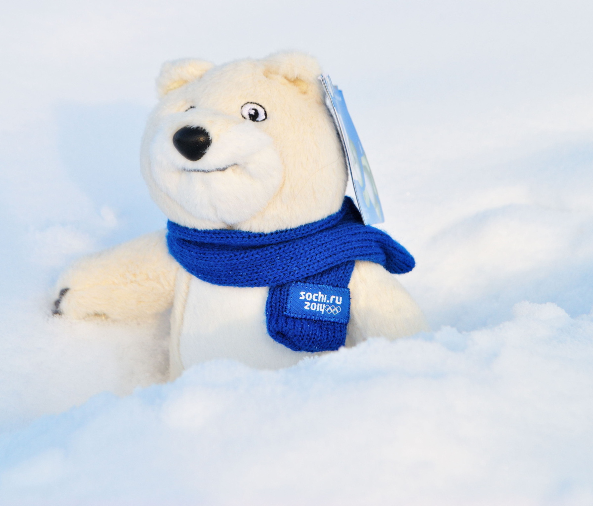 Обои Winter Olympics Teddy Bear Sochi 2014 1200x1024