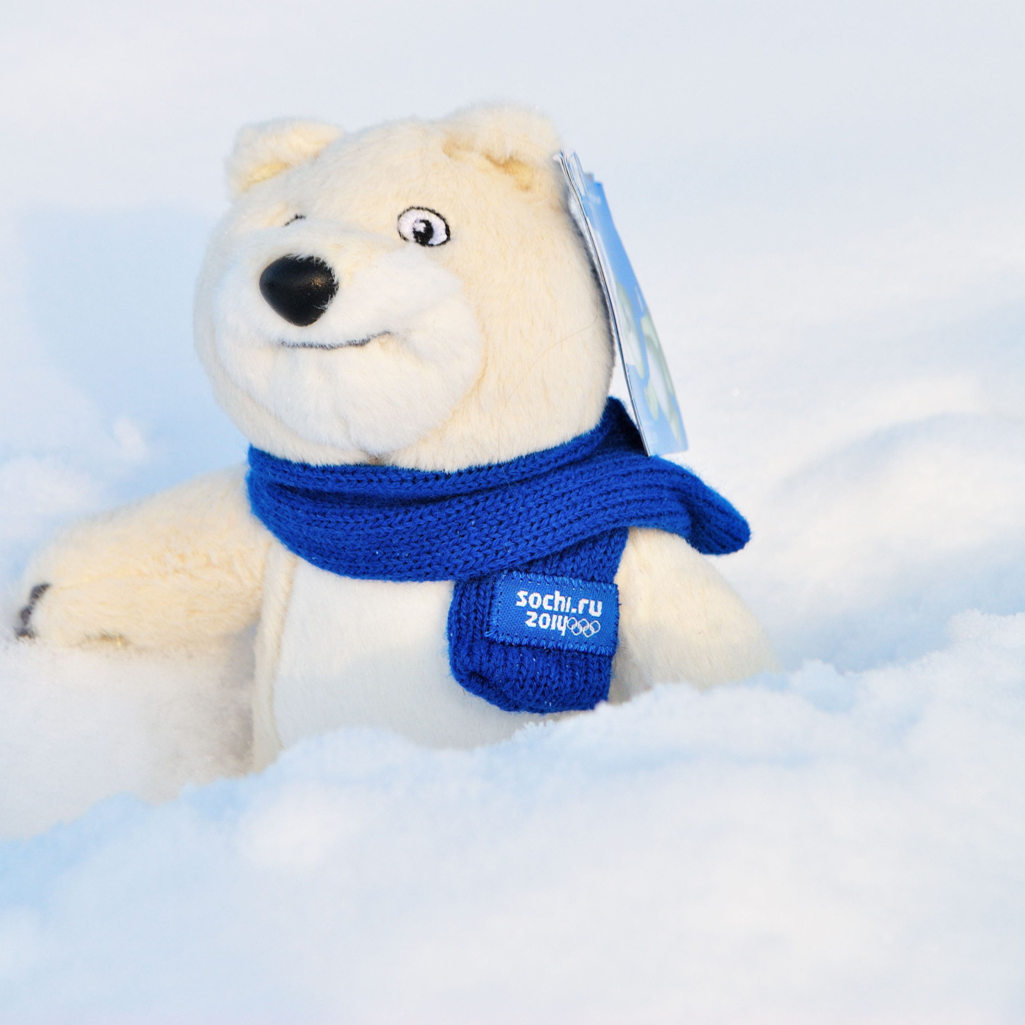 Sfondi Winter Olympics Teddy Bear Sochi 2014 2048x2048
