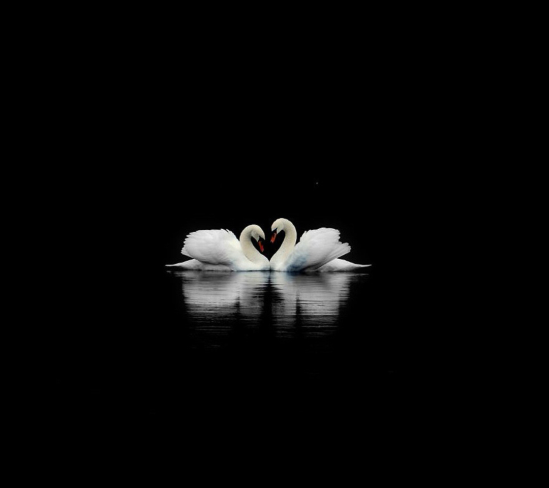 Swans wallpaper 1080x960