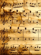 Music Notes wallpaper 132x176