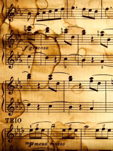 Music Notes wallpaper 480x640