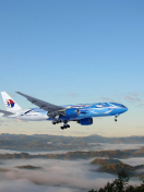 Malaysia Airlines wallpaper 132x176
