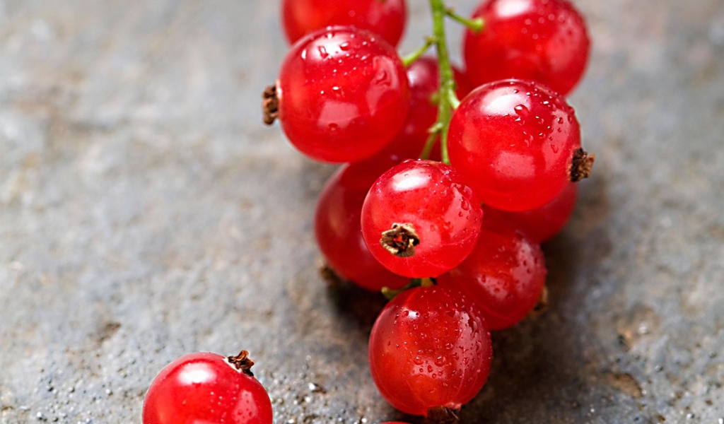 Red Berries wallpaper 1024x600