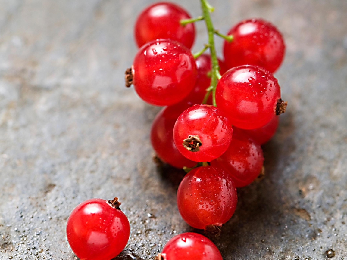 Fondo de pantalla Red Berries 1152x864