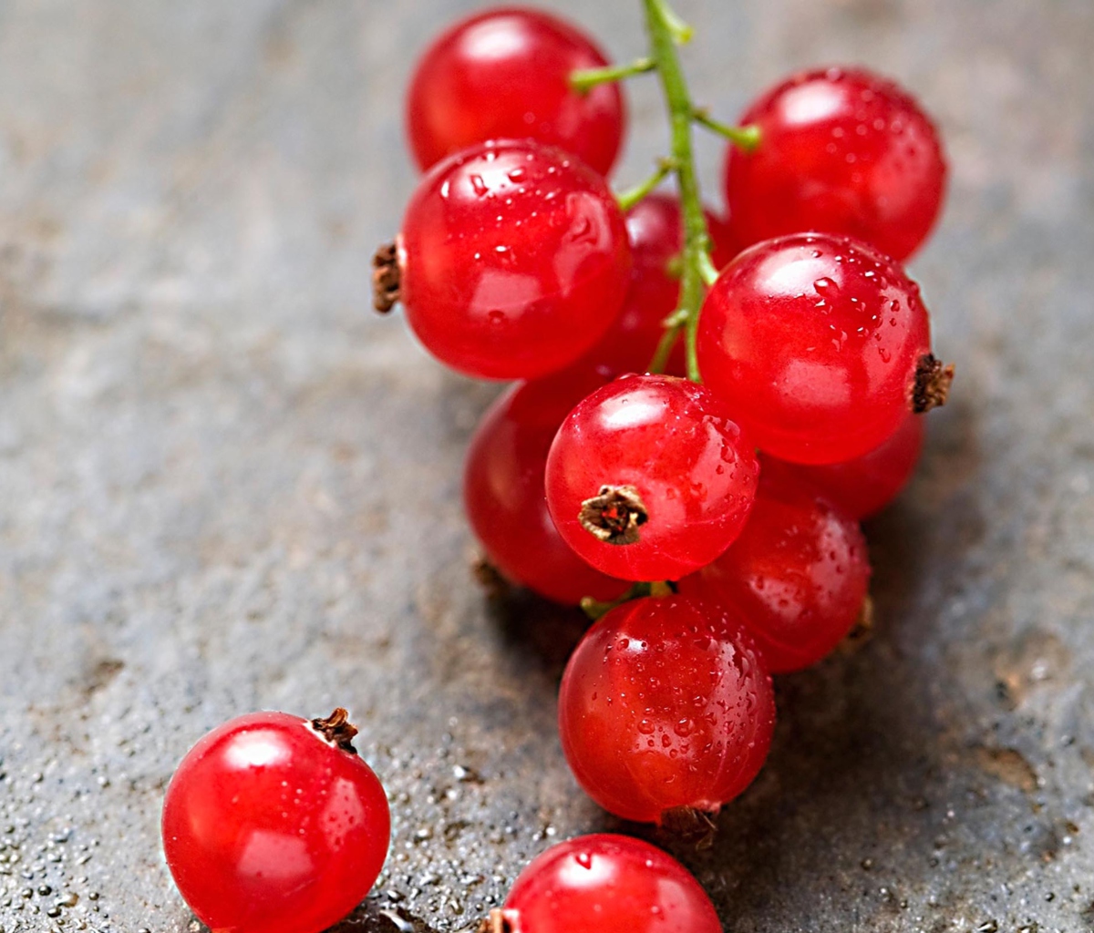 Red Berries wallpaper 1200x1024